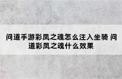 问道手游彩凤之魂怎么注入坐骑 问道彩凤之魂什么效果